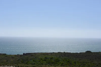 DSC_6850 (Large).JPG